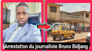 Arrestation du journaliste Bruno Bidjang  Liberté de la presse menacée au CAMEROUN [upl. by Leoline]