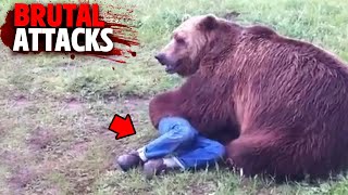 The Most HORRIFYING Bear Attacks MARATHON [upl. by Nnaycnan]