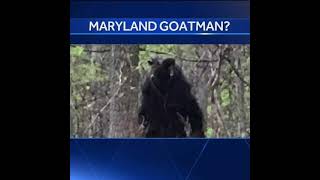 Episode 393  Cruising For Goatman Maryland Goatman [upl. by Eremaj611]