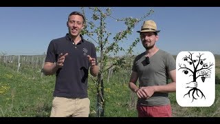 Biologische Hotspots Biodiversität und bienengemäßes Imkern  mit Wolfgang Walek [upl. by Arammahs]