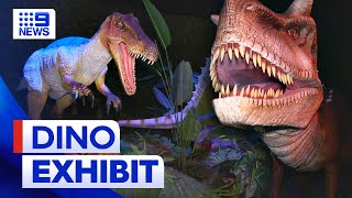 Dinosaur exhibition opens in Melbourne  9 News Australia [upl. by Kirad734]