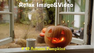 Relax ImageampVideo 49 Autumn Pumpkins [upl. by Anawqahs]