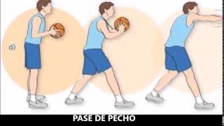 FUNDAMENTOS DEL BALONCESTO [upl. by Sofko]