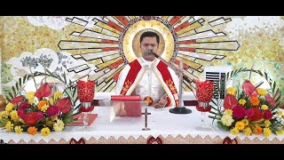 Holy Mass Malayalam പരിശുദ്ധ കുുര്‍ബ്ബാന I Syro Malabar  October 7 I wednesdayI Holy Qurbana [upl. by Namaan173]