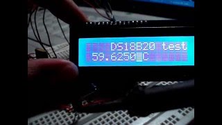 DS18B20 test with AVR ATmega8 [upl. by Dennis]