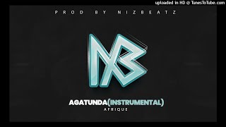 Afrique  Agatunda instrumental Prod By Niz Beatz [upl. by Annahsal]