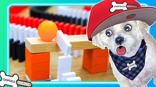 Dominoes Vs Machines Challenge Havesh5 Vs Jackofallspades98 Reaction By Chopsicle The Dog [upl. by Zonnya53]