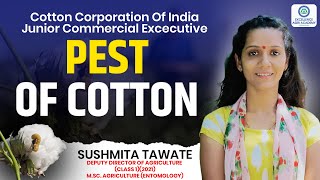 Pest of Cotton I CCI Cotton Corporation Of India I Junior Commercial Excecutive Exam [upl. by Virendra920]