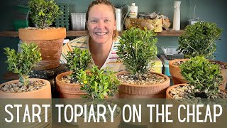 How To Start Topiary On The Cheap 🌲🌲  Topiary Basics  How To Make A Topiary  Topiary Tutorial [upl. by Airotkiv754]