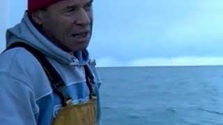 Cornish Scallop Fishing Documentary Part 2 of 2 [upl. by Sundberg]