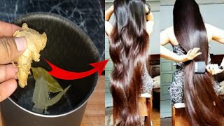 GENGIBRE CRESCE SEU CABELO EM 1 MÊS NÃO VAI CAIR 1 FIO DE CABELO USE ASSIM [upl. by Amado589]