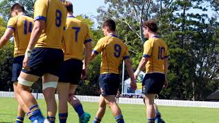 MARIST COLLEGE ASHGROVE 1ST XV  2020 PROMO [upl. by Giacobo]