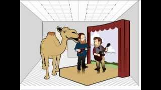 My Geico Camel Commercial [upl. by Nazarius]