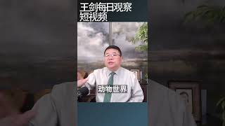 排除中共影响是中国人改变命运的关键王剑每日观察 shortsviral shortsfeed shortsvideo [upl. by Lewes]