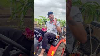 Dragon Fruit Part18 शेतीने मला काय दिले अन् शेती तुम्हाला काय देऊ शकते ravirajsabalepatil [upl. by Retsof28]