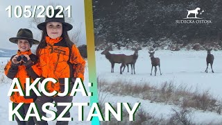 SUDECKA OSTOJA 1052021 Polowanie na jelenie Deer Hunt Hunting in Poland Wild jagen [upl. by Staal953]