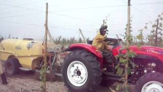 TRACTOR YTO 504 EN FDO SAN EUDOSIO ICA [upl. by Nylecsoj]