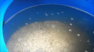 Cleaning Sand Gravel Filter elapsed time [upl. by Zindman]