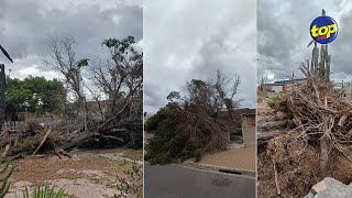 En Afrique du sud dans la ville portuaire du Cap une violente tempête a causé de sérieux dégâts [upl. by Sayce]