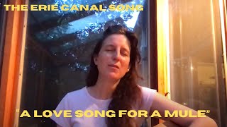 Erie Canal Song [upl. by Jennine722]