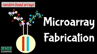 Fabrication Of DNA Microarray  How Microarrays Are Fabricated  Illumina Bead Array [upl. by Aihsilef]