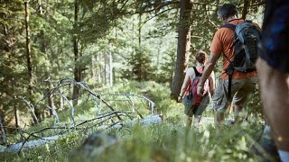 Mit dem Ranger im Nationalpark Kalkalpen [upl. by Valdes797]