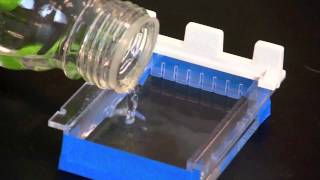 Casting an Agarose Gel [upl. by Arreic]