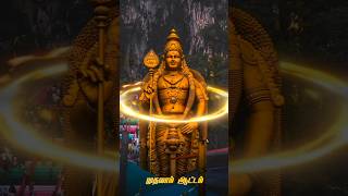 Seval Koli parakuthada  Murugan WhatsApp status Tamil shortsvideo rammandir 2024 [upl. by Tobie]