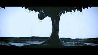 Max Cooper  Origins  Official Video by Rabbit Hole and Black Box [upl. by Nosnaj]