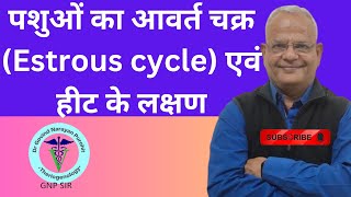 पशुओं का आवर्त चक्र Estrous cycle एवं हीट के लक्षण I पशु पालनGNP Sir [upl. by Adniralc846]