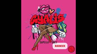 Capella Grey  Gyalis Remix feat Nova November [upl. by Veda851]