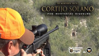 “MONTERIA CORTIJO El SOLANO” con Monterías Riquelme [upl. by Avek776]