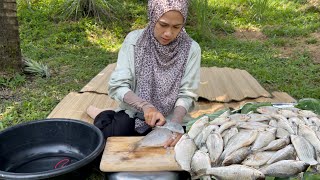 PEKASAM IKAN CARA ORANG LAMA  Confirm jadi [upl. by Efioa]