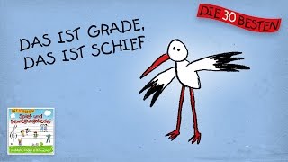 Das ist grade das ist schief  Die besten Spiel  und Bewegungslieder  Kinderlieder [upl. by Zetrauq]