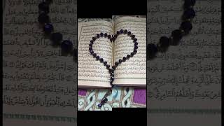 Jisne quran pak la Kar Diyaislamicstatusislamicforyouunfrezzmyaccount [upl. by Iz]