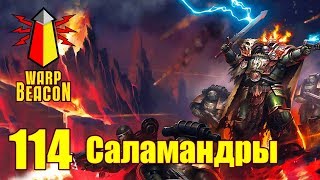 ВМ 114 Либрариум  Саламандры  Salamanders [upl. by Ynattir]