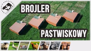 Lubuskie Angusowo  S6 E21  Brojlery pastwiskowe [upl. by Ylim]