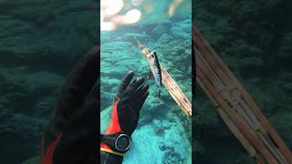 Ocean cleanup while freediving Found abandoned fishing gear while spearfishing in Canary Islands [upl. by Troc]