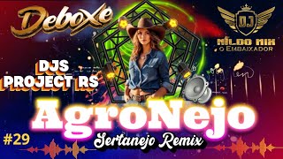 AgroNejo Remix Deboxe DJs Project RS Sertanejo Remix 29 [upl. by Ignatzia954]