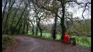 Camino de Santiago Arzua  O Pedrouzo [upl. by Eitsud]