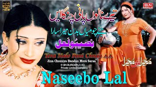 Tera Nalo Pani Chnga AA  Naseebo Lal  New Punjabi Song  Mujra Dance Song 2024  BN BUREWALA HD [upl. by Korry307]