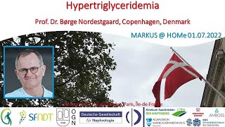 Hypertriglyceridemia  Prof Nordestgaard Copenhagen Denmark [upl. by Leeland]