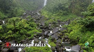 Trafalgar falls Dominica 🇩🇲 [upl. by Eidnar]