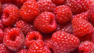 Health Benefits of Raspberries [upl. by Aurea]