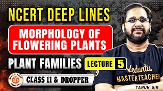 MORPHOLOGY OF FLOWERING PLANTS CLASS 11  NCERT DEEP LINES  COMPLETE NCERT FOR NEET 2025 TARUN SIR [upl. by Wright369]