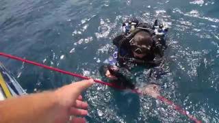 GUE Divers on Diving at Spittal in Bermuda [upl. by Torras]