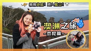 【悉尼🇦🇺】為何澳洲袋鼠那些可愛 挑戰藍山斜50度䌫車 澳洲之旅懶人包攻略  POPCON FACTORY [upl. by Lilith]