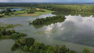 Polder Neupotz am 15 Juli 2021 [upl. by Crystal]