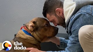 Guy Promises Hes Not Going To Keep His Foster Dog  The Dodo Foster Diaries [upl. by Ram]