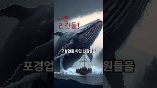 귀신고래ㅡGray whale 바다생물 graywhale [upl. by Kahaleel338]